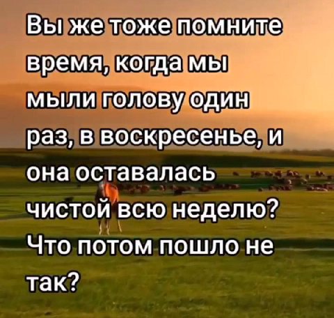 Вы же тоже помните время, когда мы мыли голову один раз, в воскресенье, и она оставалась чистой всю неделю? Что потом пошло не так?