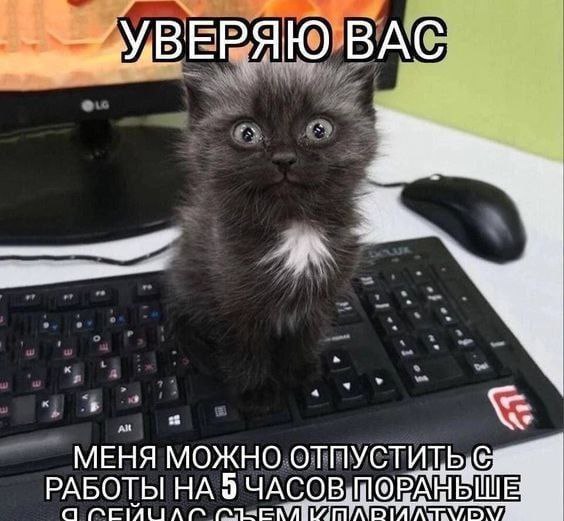 BAC МЕНЯ МОЖНО РАБОТЫ НА 9 ЧАСОВ а