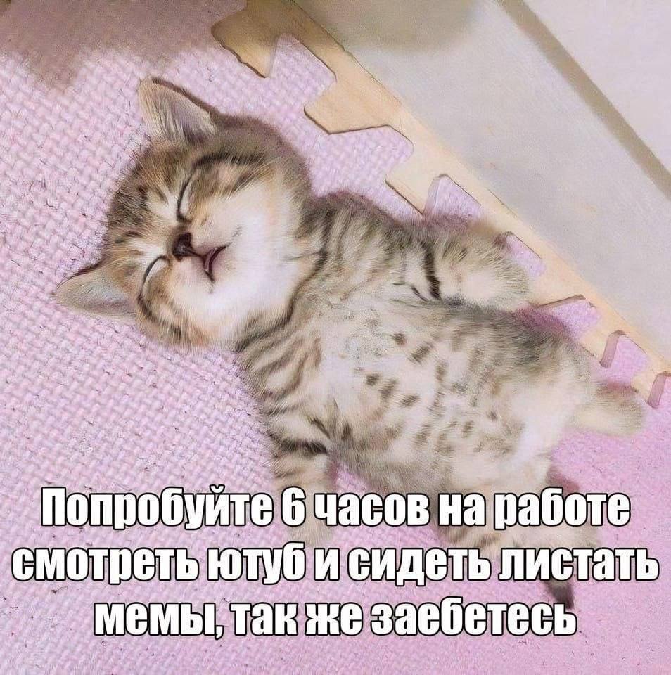 1 a 6 часов на работе. Сидеть листать И сидеть is 3a MAMBET: