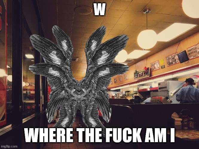 WHERE THE FUCK imgt com