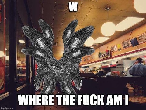 WHERE THE FUCK imgt com