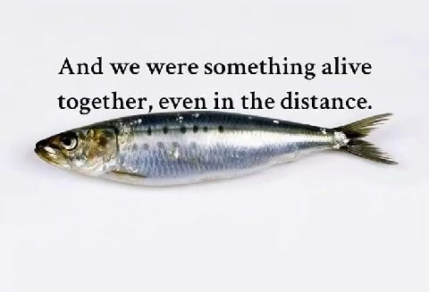 And we were something alive together, even in the distance.