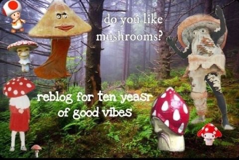 4. reblog for ten yeasr of 4