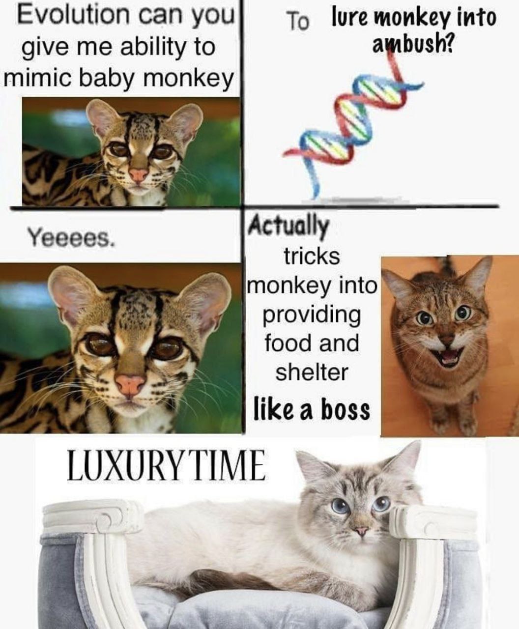 Evolution can you To lure monkey into give me ability to mimic baby monkey Vai Yeeees. Actually tricks monkey into providing food and 2 shelter like a boss