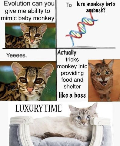 Evolution can you To lure monkey into give me ability to mimic baby monkey Vai Yeeees. Actually tricks monkey into providing food and 2 shelter like a boss