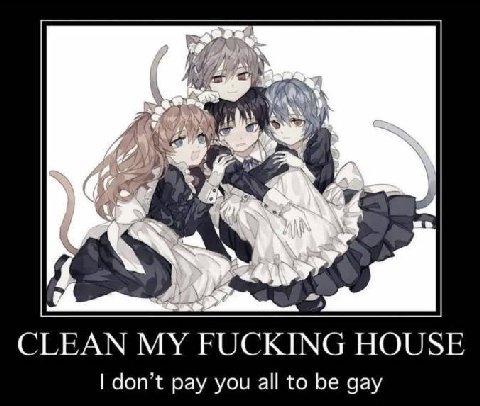 4 CLEAN FUCKING HOUSE don’t pay you all to be gay