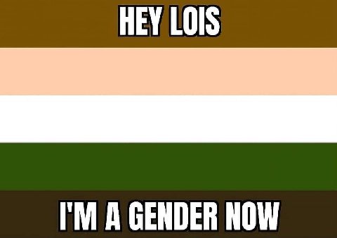 HEY LOIS A GENDER NOW