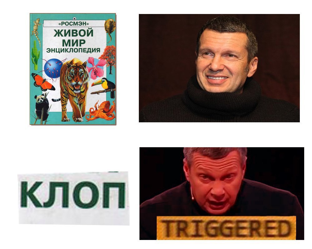 а. MOH» ЖИВОЙ МИР КЛО TRIGGERED