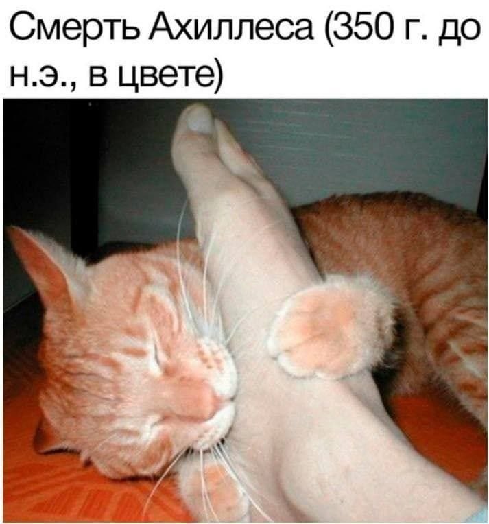 Смерть Ахиллеса (350 до в цвете)