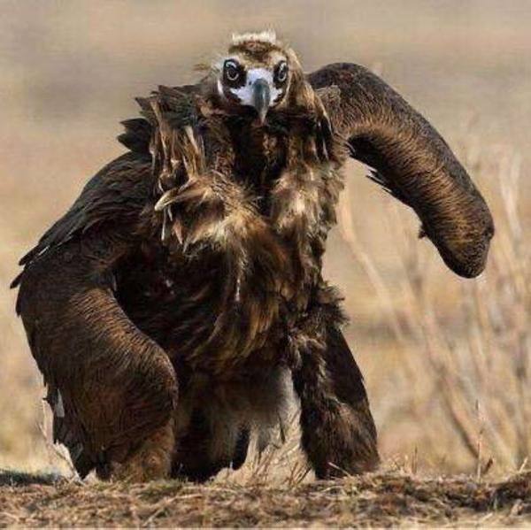 у 7 и