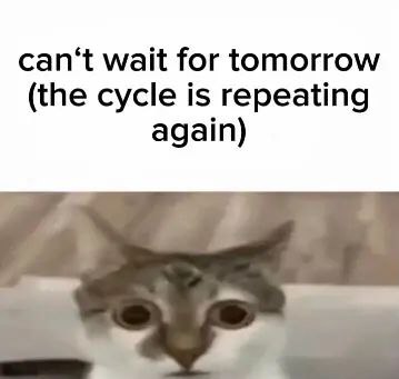 сап+ wait for tomorrow (the cycle is repeating again)