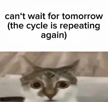 сап+ wait for tomorrow (the cycle is repeating again)