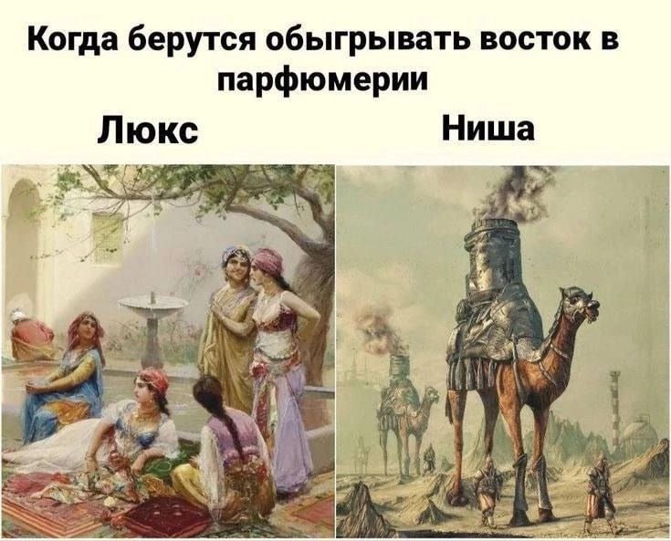 сука