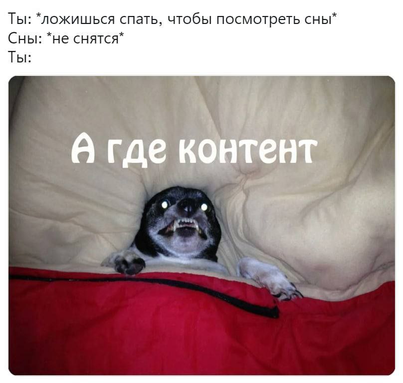 Ты: *ложишься спать, чтобы посмотреть сны* Сны: *не снятся* Ты: 4