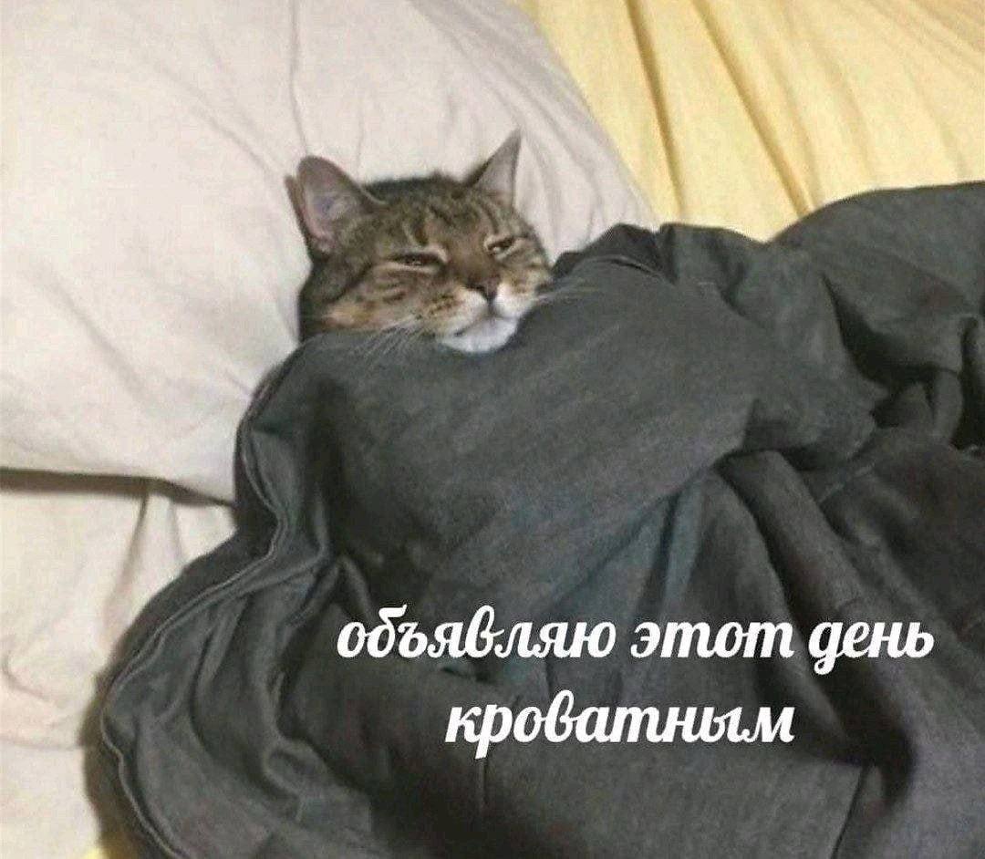 одъявляю этот день