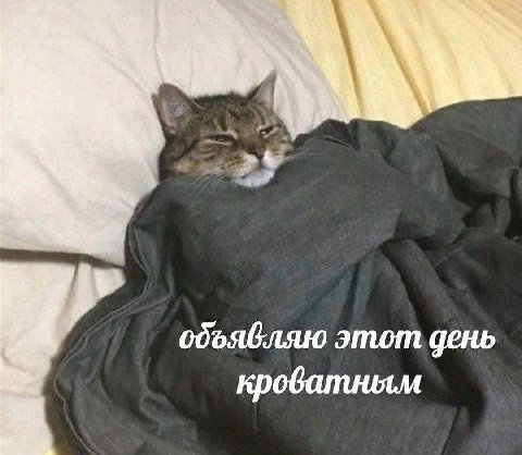 одъявляю этот день