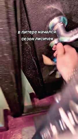 <. впитереначался =~ В питереначалея > — сезонлисичею —__ сезонлисичек