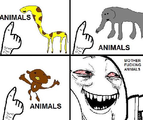 ANIMALS MOTHER ANIMALS