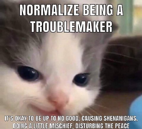 NORMALIZE BEING A TROUBLEMAKER IT'S OKAY ТО BE UP TO NO GOOD, CAUSING SHENANIGANS, DOING A LITTLE MISCHIEF, DISTURBING THE PEACE
