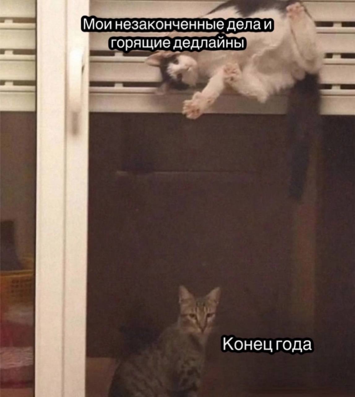Моинезаконченные делаи горящие дедлайны Конецгода