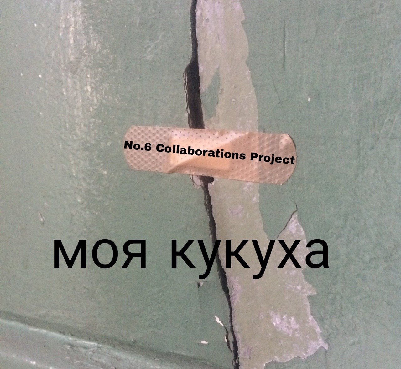 моя кукуха