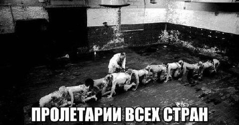С ПРОЛЕТАРИИ ВСЕК СТРАН