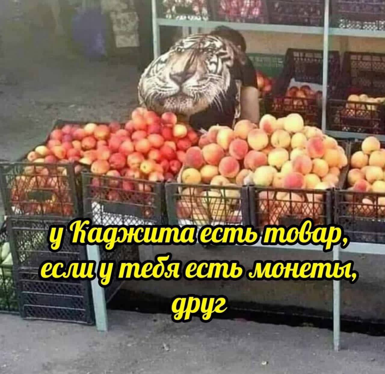 я a Fal у товар, если у meds есть монеты, друг