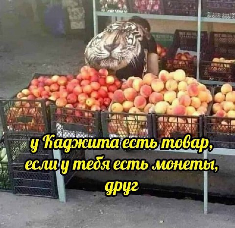 я a Fal у товар, если у meds есть монеты, друг