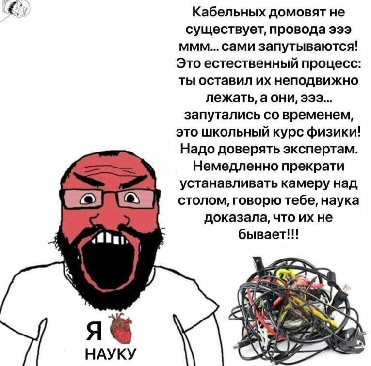 Кабельных домовят не существует, провода эээ MMM... сами запутываются! Это естественный процесс: ты оставил неподвижно лежать, а они, эээ... запутались временем, это школьный курс физики! Надо доверят