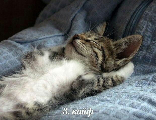 3 3 кайф