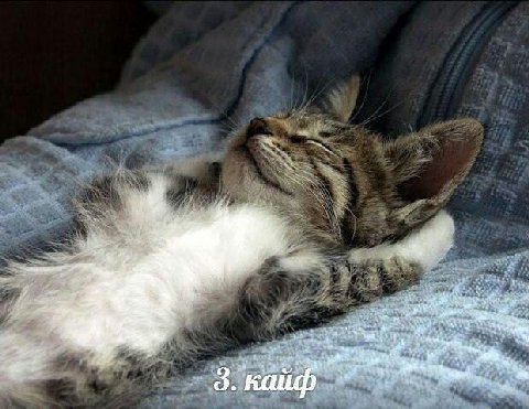 3 3 кайф