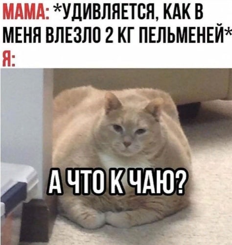 МАМА: *УДИВЛЯЕТСЯ, МЕНЯ ВЛЕЗЛО 2 ПЕЛЬМЕНЕЙ* Я: А
