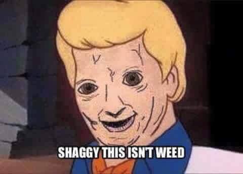 SHAGGY THIS ISNT
