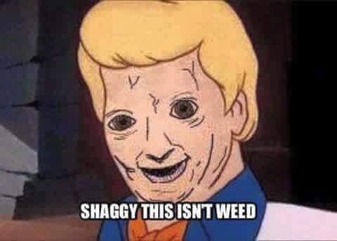 SHAGGY THIS ISNT