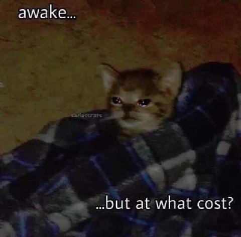 awake... at what cost?