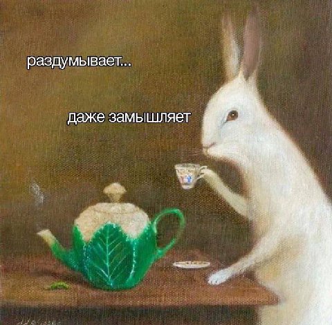 раздумывает... даже замышляет
