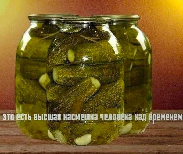 у у высшая насмешка челойена над Временем