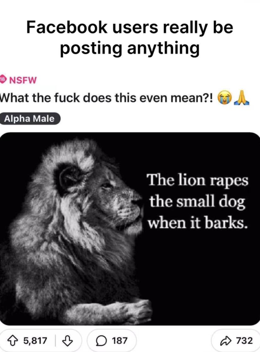 Facebook users really be posting anything NSFW hat the fuck does this even mean?! Alpha Male #3 The Поп rapes the small dog when it barks. 5,817 187 732
