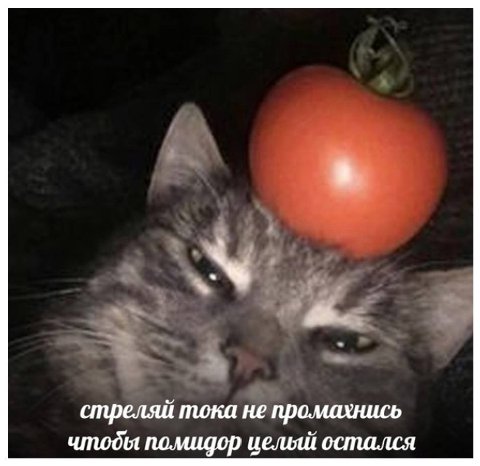 стреляй тока не промахнись чтоды помидор целый остался