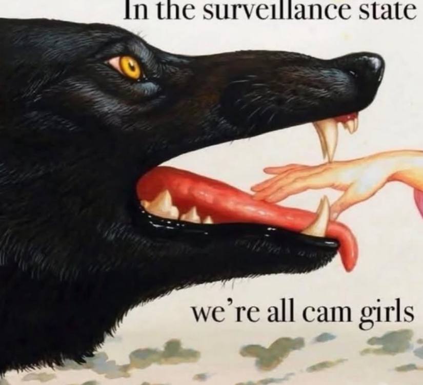 the surveiliance state we all cam girls