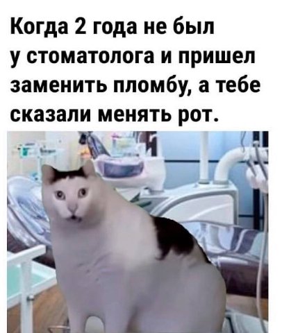 Когда 2 года не был у стоматолога и пришел заменить пломбу, а тебе сказали менять рот.