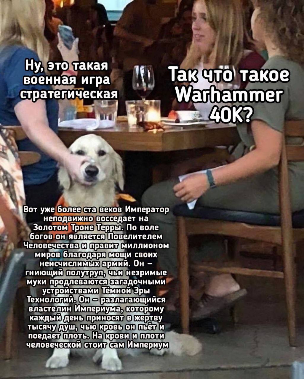 Ну, это такая военная игра такое страте гическая Warhammer a \Вот уже более ста веков Император неподвижно восседает на Золотом Троне Терры. По воле богов он является Повелителем правит. миллионом мир