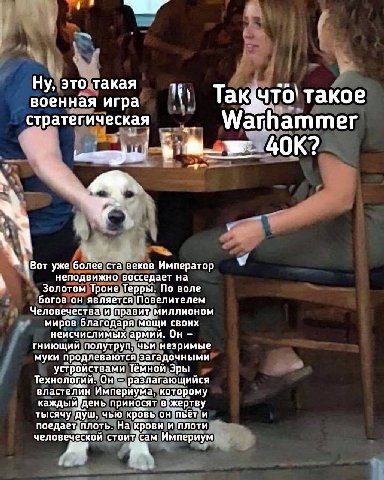 Ну, это такая военная игра такое страте гическая Warhammer a \Вот уже более ста веков Император неподвижно восседает на Золотом Троне Терры. По воле богов он является Повелителем правит. миллионом мир