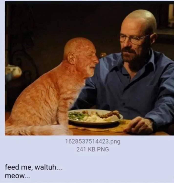 feed me, waltuh... meow...