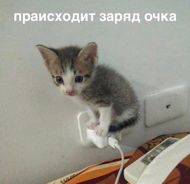 праисходит заряд очка