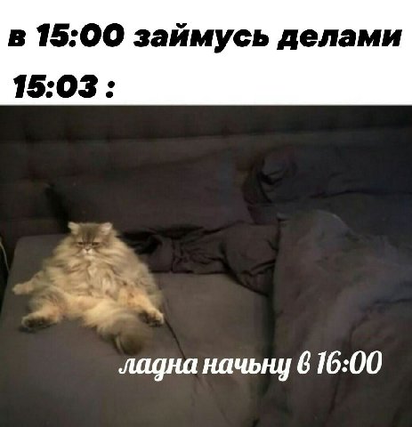 в 15:00 займусь делами 15:03: ладна начьну 6 16:00