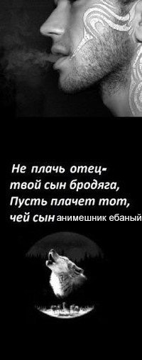 Я Не плачь отец- твой сын бродяга, Пусть плачет тот, чей сын анимешник ебаный