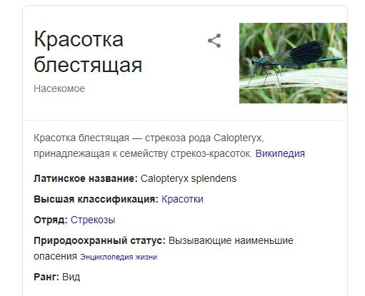 придумайте шутку сами