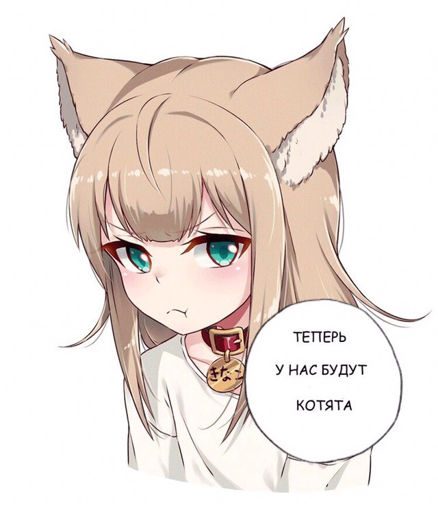 ТЕПЕРЬ У НАС БУДУТ КОТЯТА
