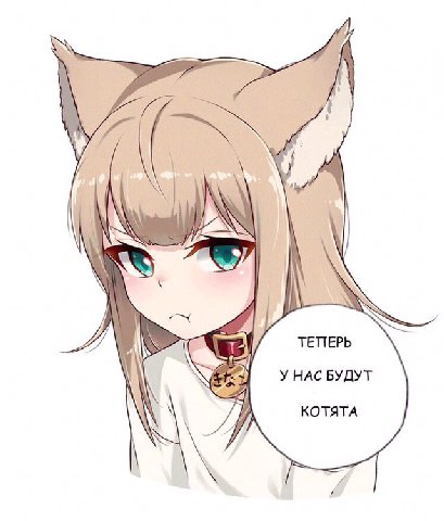 ТЕПЕРЬ У НАС БУДУТ КОТЯТА